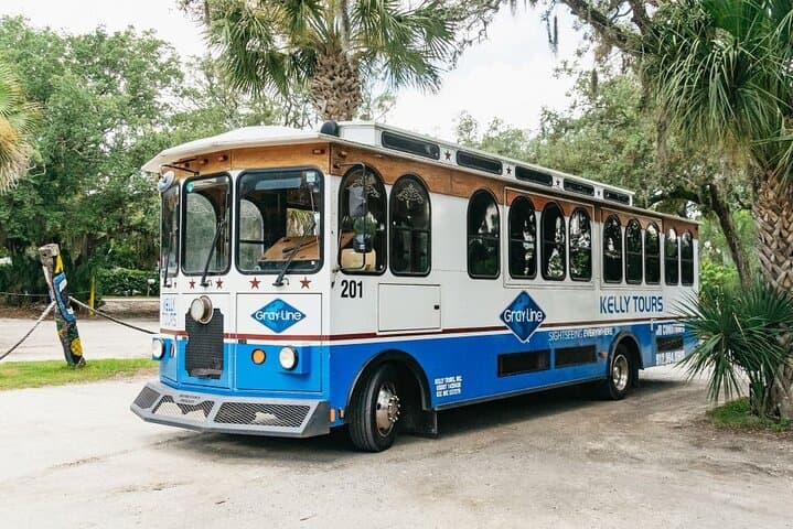 Savannah to Tybee Island Dolphin Cruise: Half-Day Trolley, Sea Air, and Lighthouse Views photo 3