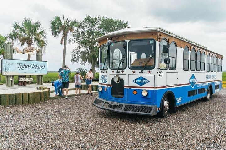 Savannah to Tybee Island Dolphin Cruise: Half-Day Trolley, Sea Air, and Lighthouse Views