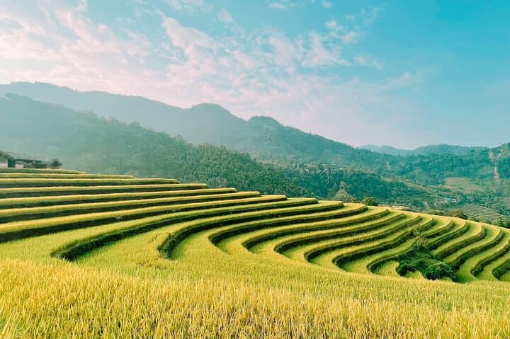 Hoang Su Phi 2-Day Private Car: Homestay & Terraced Rice Fields from Ha Giang photo 3