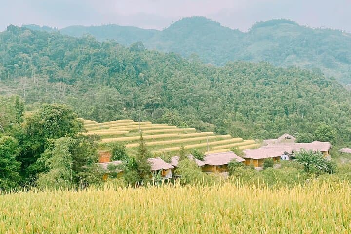Hoang Su Phi 2-Day Private Car: Homestay & Terraced Rice Fields from Ha Giang photo 4