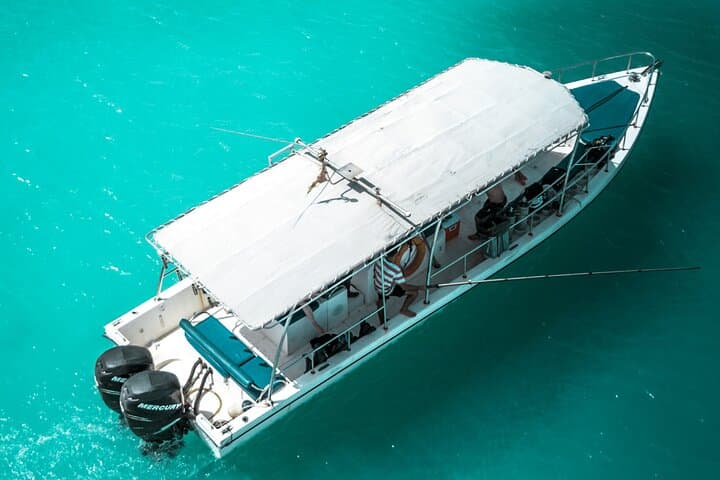 Snorkel Ad Daymaniyat Islands: Turtle Gardens & Dolphin Encounters near Muscat photo 1