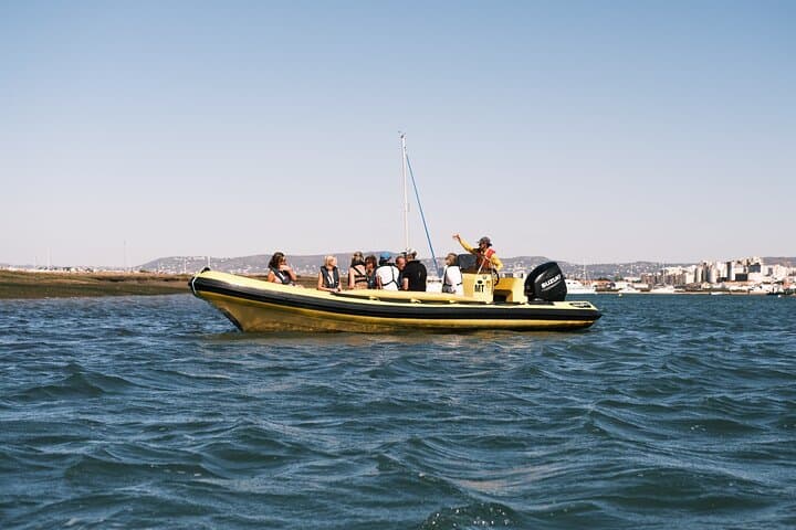 Ria Formosa Eco Tour from Faro: Ilha Deserta by Marine Biologist photo 1