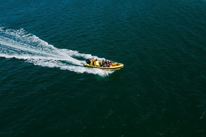 Hop-On Hop-Off Ria Formosa Islands: Deserta, Farol & Culatra Day Cruise