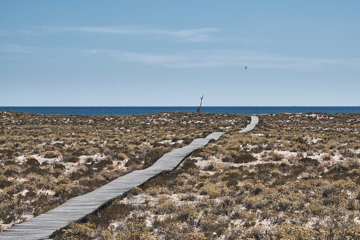 Hop-On Hop-Off Ria Formosa Islands: Deserta, Farol & Culatra Day Cruise photo 3