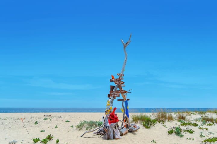 Hop-On Hop-Off Ria Formosa Islands: Deserta, Farol & Culatra Day Cruise photo 4