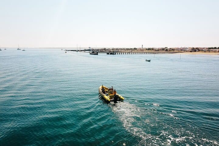 Hop-On Hop-Off Ria Formosa Islands: Deserta, Farol & Culatra Day Cruise photo 6