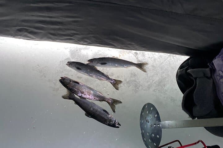 Full-Day Ice Fishing on Nancy Lake: Guided Snowshoe & Heated Tent Experience in Palmer, Alaska photo 2