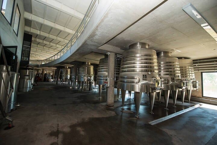 Mendoza Organic & Biodynamic Wine Adventure: Krontiras, Riccitelli & Catena photo 3