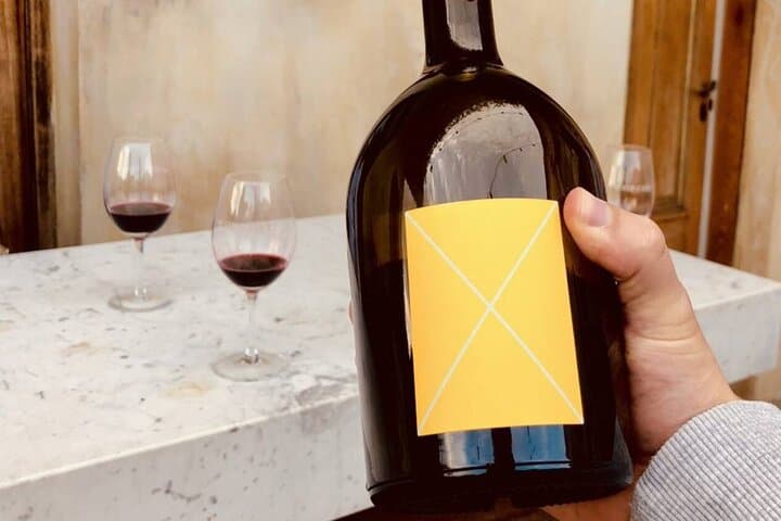 Mendoza Organic & Biodynamic Wine Adventure: Krontiras, Riccitelli & Catena photo 4