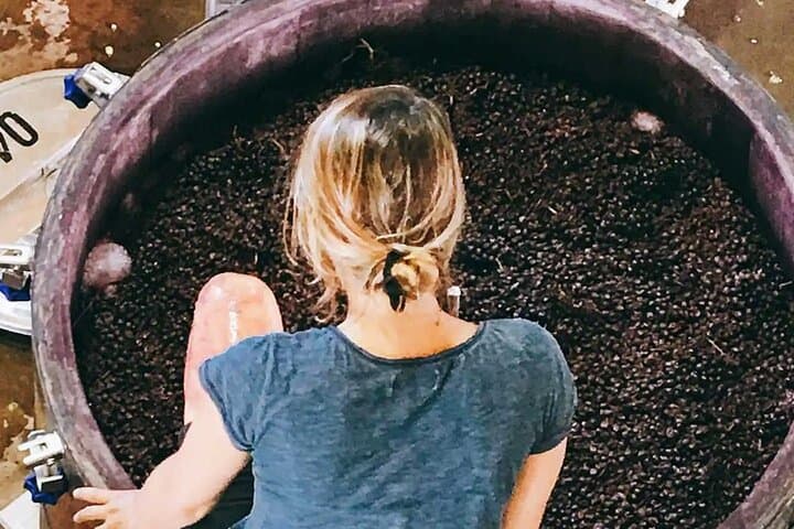 Mendoza Organic & Biodynamic Wine Adventure: Krontiras, Riccitelli & Catena