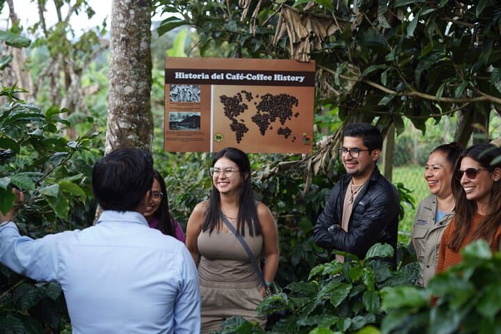 Cobán Coffee Plantation Tour with Mayan Q'eqchi' Hosts: Farm Visit & Tasting