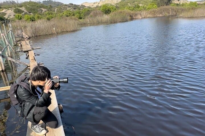 Mantagua Wetland & Cachagua Island Penguins — Day Birdwatching from Valparaíso photo 4