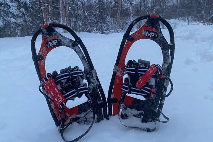 Palmer Winter Family Fun Day: Guided Snowshoe Hike & Sledding