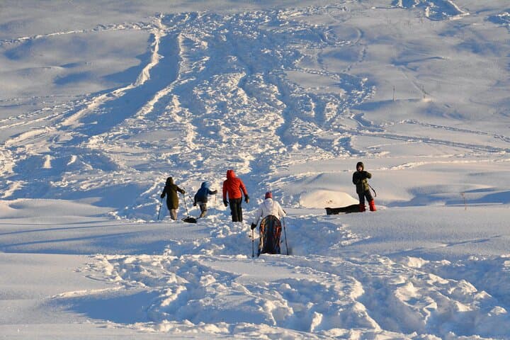 Palmer Winter Family Fun Day: Guided Snowshoe Hike & Sledding photo 5