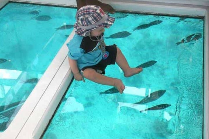 Glass-Bottom Boat in Sharm El Sheikh: Red Sea Reef Cruise photo 5
