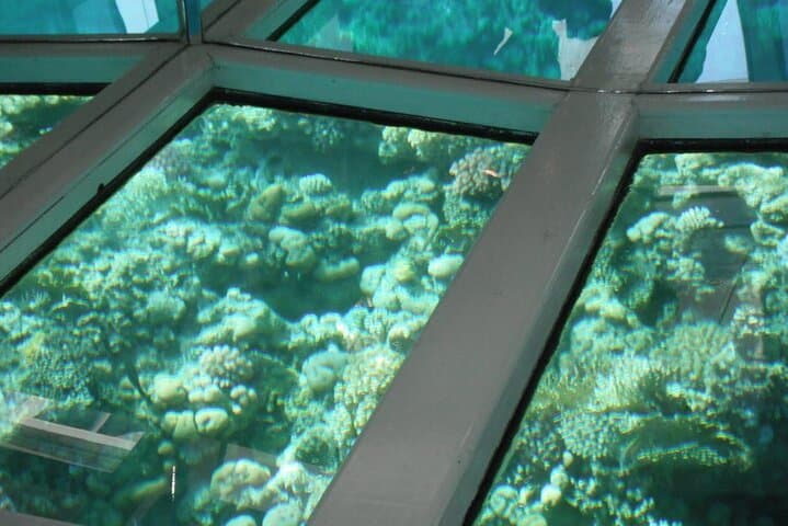Glass-Bottom Boat Tour in Sharm El Sheikh — Red Sea Reef Viewing photo 6