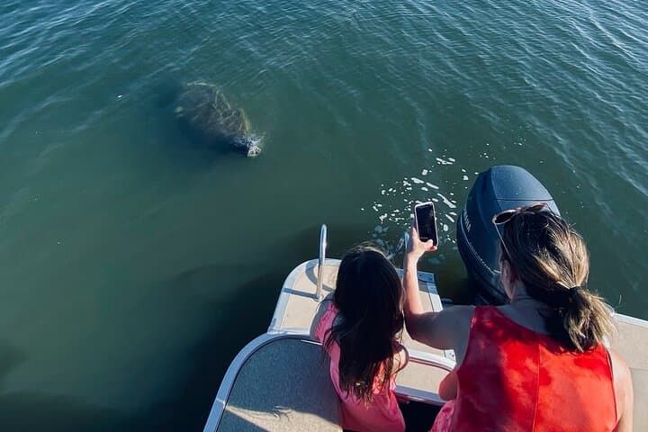Indian River Lagoon Dolphin & Manatee Pontoon Tour from Cocoa Village photo 3