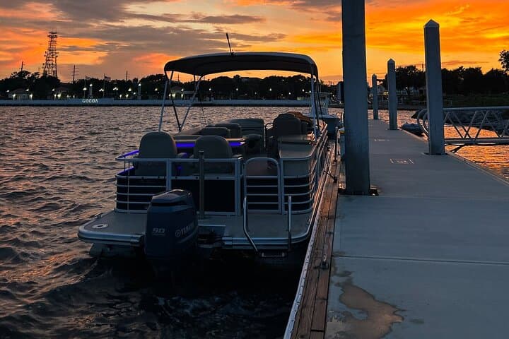 Indian River Lagoon Dolphin & Manatee Pontoon Tour from Cocoa Village photo 5