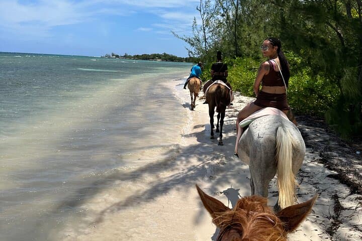 Montego Bay Horseback Ride and Swim: Beach Equestrian Adventure in Jamaica photo 3