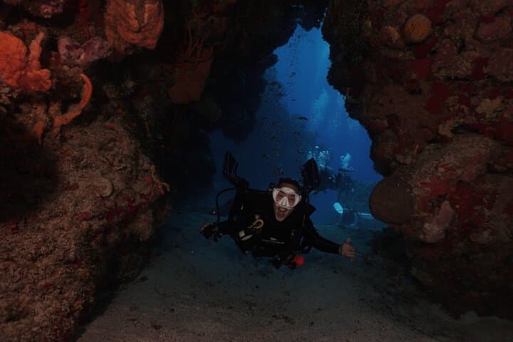 Cozumel Two‑Tank Morning Dive: Drift Reefs, Turtles & the Splendid Toadfish photo 5