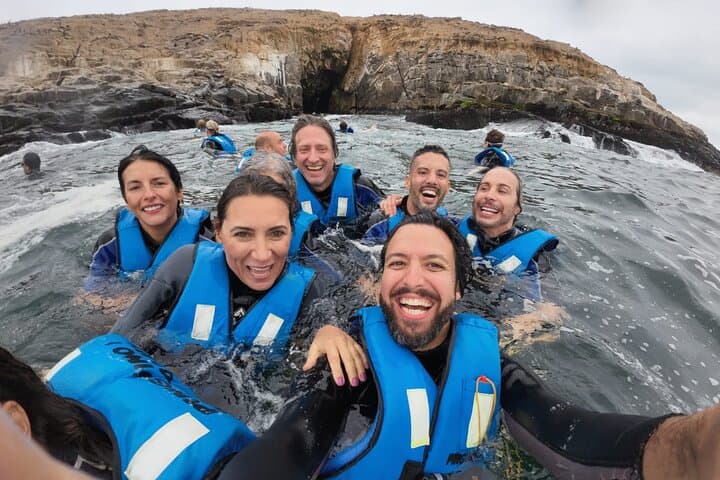 Palomino Islands Sea Lion Swim from Lima — Speedboat Excursion & Wildlife Viewing photo 5