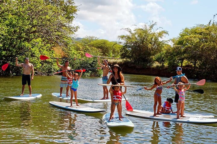 North Shore Private Tour: Haleiwa, Waimea & Dole Plantation — Full-Day Private Experience photo 2