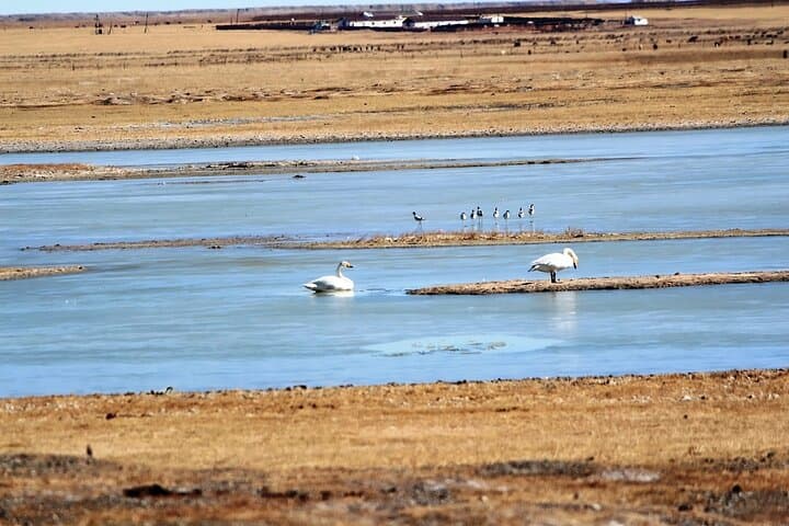 Winter Glamping and Wildlife in Gun Galuut Nature Reserve, Mongolia photo 3
