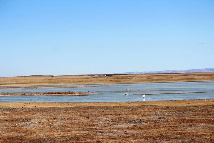 Winter Glamping and Wildlife in Gun Galuut Nature Reserve, Mongolia photo 4