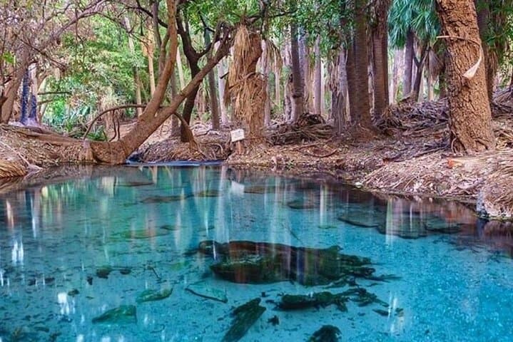 Full-Day Private Tour to Katherine Gorge, Edith Falls & Mataranka from Darwin photo 3