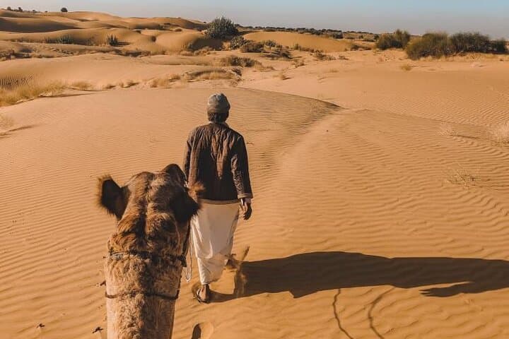 Wild Desert Overnight Safari: Jeep, Camel & Stars in the Thar photo 4