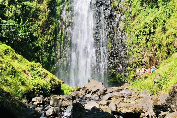 Materuni Waterfall and Coffee Village Tour: Waterfalls, Chagga Culture & Kilimanjaro Views