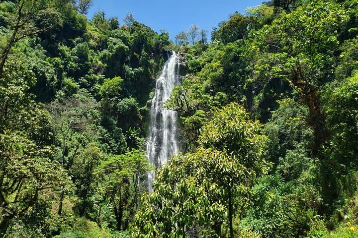Materuni Waterfall and Coffee Village Tour: Waterfalls, Chagga Culture & Kilimanjaro Views photo 2
