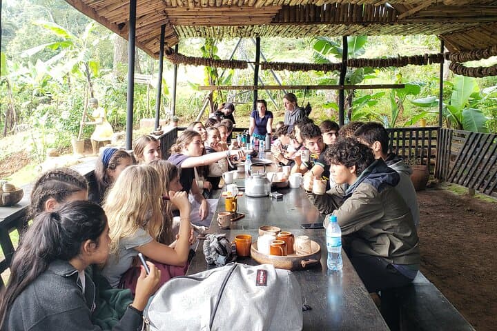 Materuni Waterfall and Coffee Village Tour: Waterfalls, Chagga Culture & Kilimanjaro Views photo 5