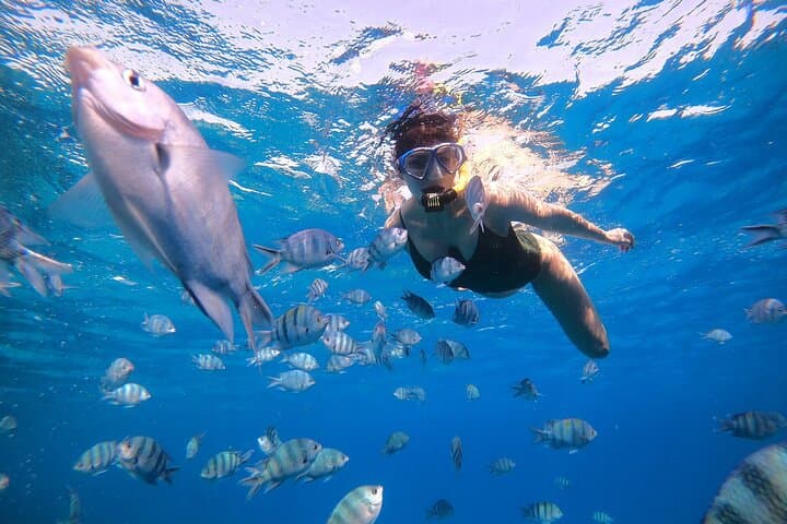 Hurghada Glass-Bottom Boat and 30-Minute Red Sea Snorkel photo 3