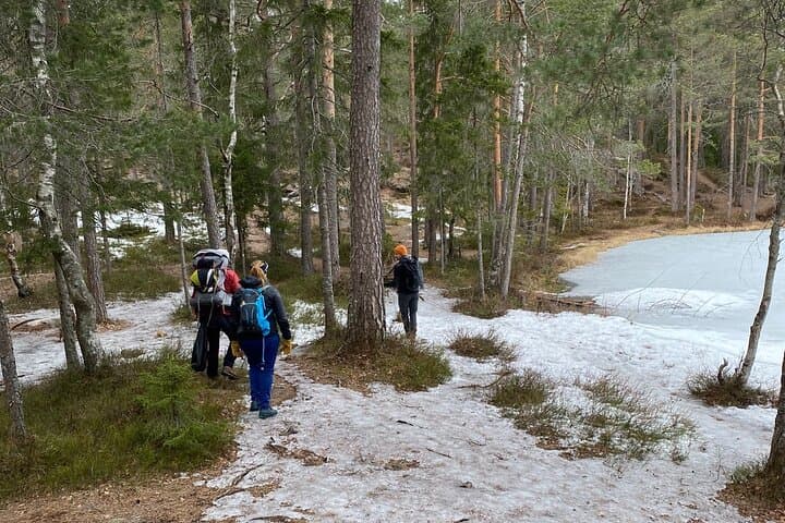 Winter Hike to Tryvannstua: Oslo Skogshytte Cabin Experience photo 2