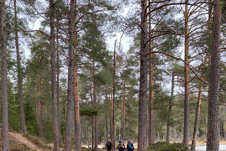 Winter Hike to Tryvannstua: Oslo Skogshytte Cabin Experience photo 3