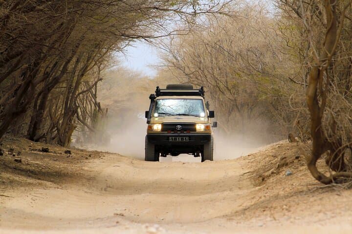 Boa Vista North Jeep Expedition: 4-Hour Off-Road Tour to Cabo Santa Maria & Viana Dunes photo 4