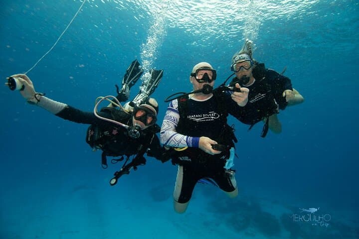 Discover Scuba Diving in Cozumel: Intro Dive at Tikila Beach for Beginners photo 3