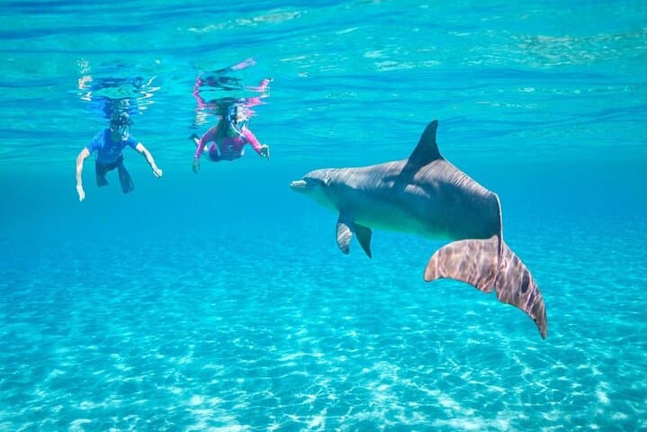 Dolphin Discovery Adventure in Hurghada: Snorkel, Swim and Fish the Red Sea photo 4