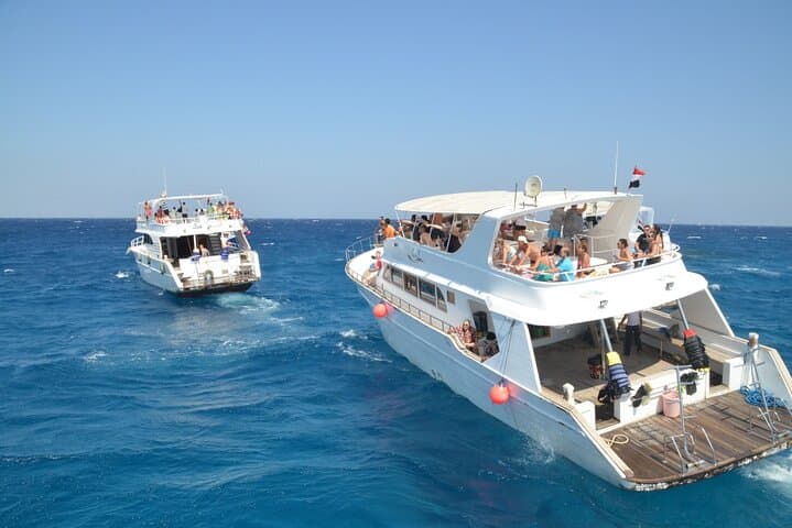 Red Sea Dolphin Watching and Lunch Cruise from Hurghada