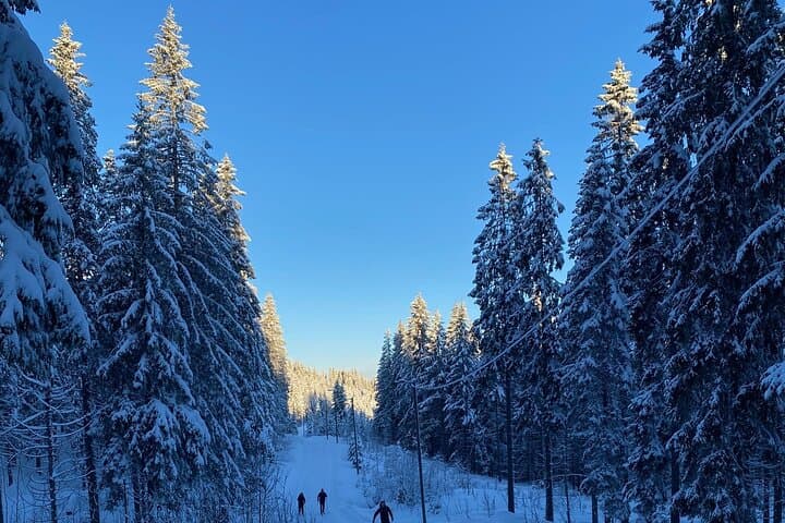 Holmenkollen Cross-Country Ski Lesson and Fireside Kos at Øvresetertjern