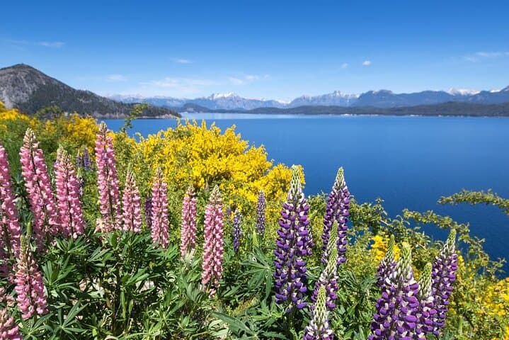 Scenic Road Transfer from Puerto Varas to Bariloche via Lake Llanquihue photo 2