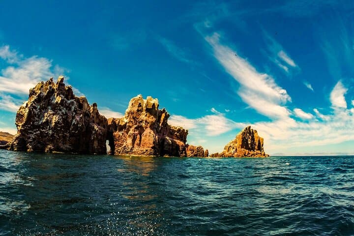 Espíritu Santo & Balandra Beach Sea Lion Snorkel — Day Tour from La Paz photo 4