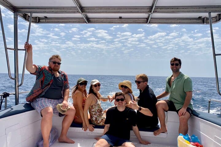 Benalmádena Dolphin Watching Cruise: Wild Dolphins & Coastal Views (90-Min) photo 2