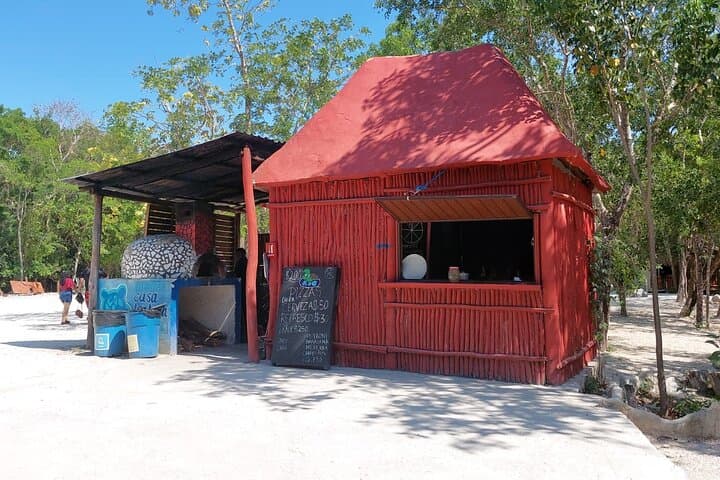 Casa Tortugas Cenotes and Tulum Ruins Day Tour from Playa del Carmen photo 4