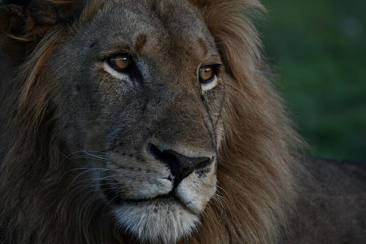 Ultimate Akagera Expedition: 3-Day Safari in Akagera National Park, Rwanda photo 2