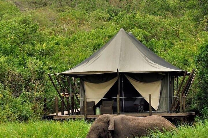 Ultimate Akagera Expedition: 3-Day Safari in Akagera National Park, Rwanda photo 3