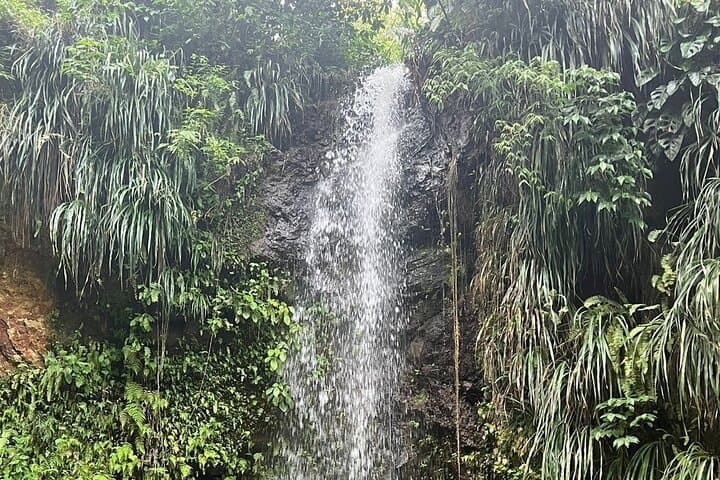Sea and Land Tour in St. Lucia: Pitons, Snorkeling & Sulphur Springs Half-Day photo 3
