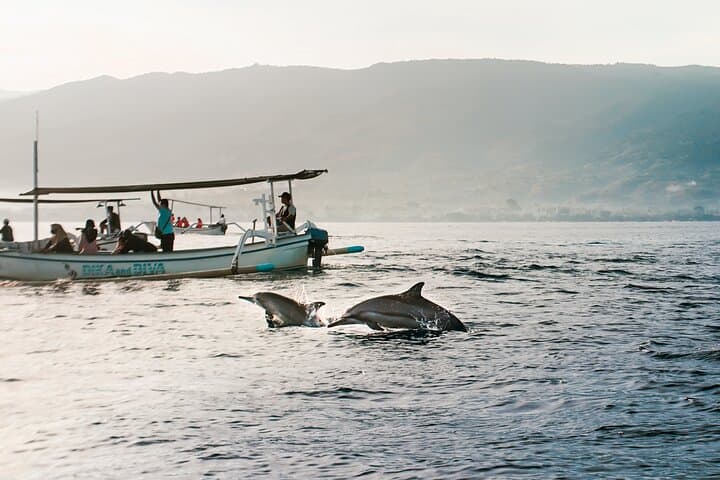 Sunrise Dolphin Watching & Snorkeling in North Bali (Lovina)