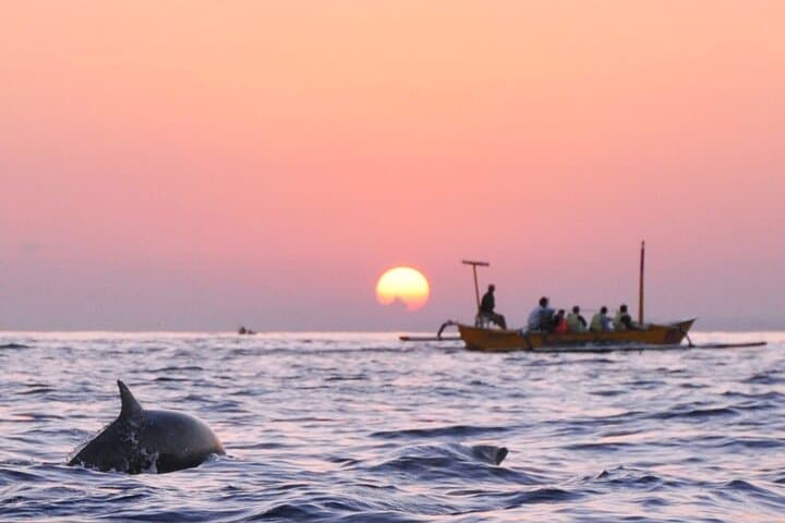 Sunrise Dolphin Watching & Snorkeling in North Bali (Lovina) photo 5